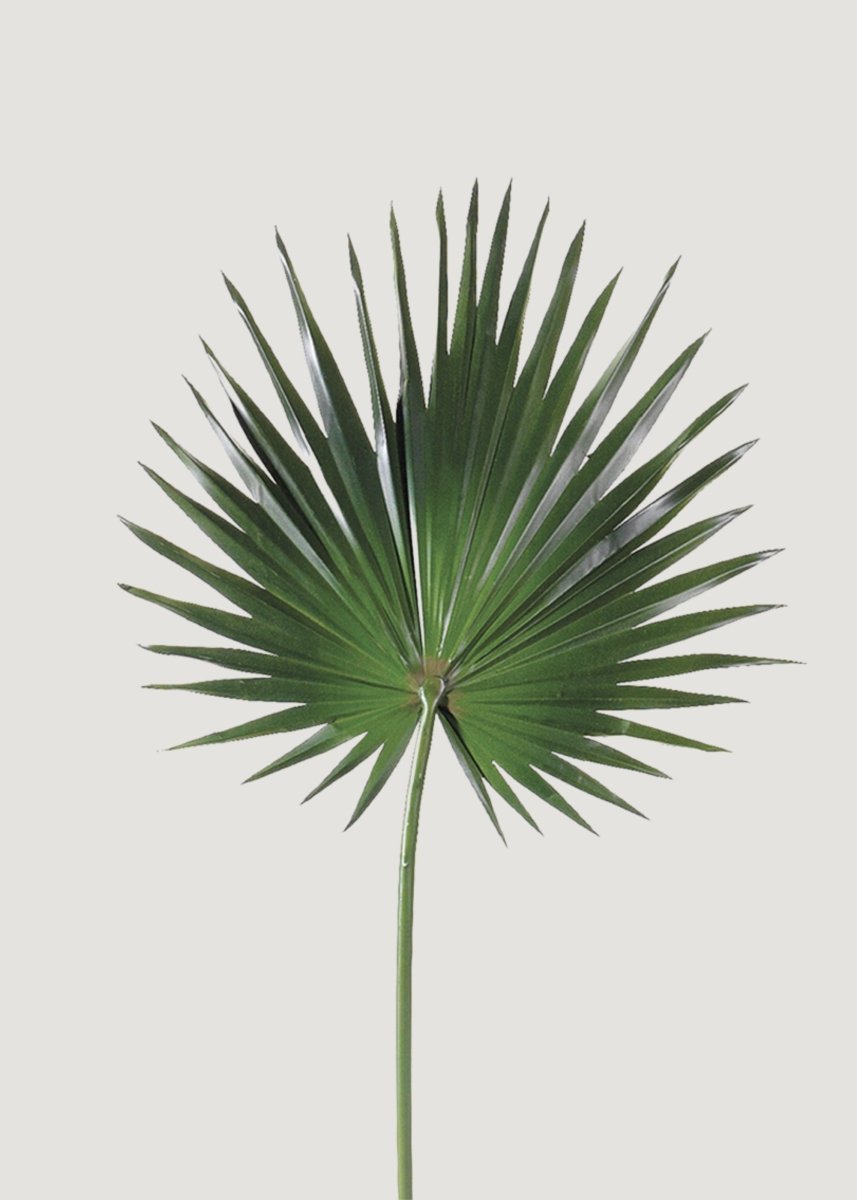 Afloral Artificial Fan Palm Leaf - 30" - lily & onyx