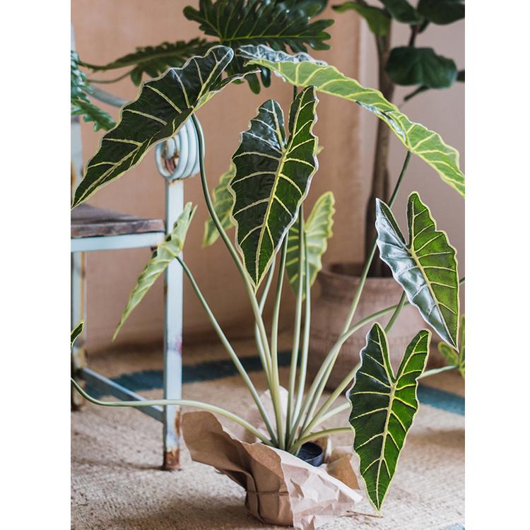 
                      
                        RusticReach Artificial Faux Alocasia Plant In Pot 31" Tall - lily & onyx
                      
                    