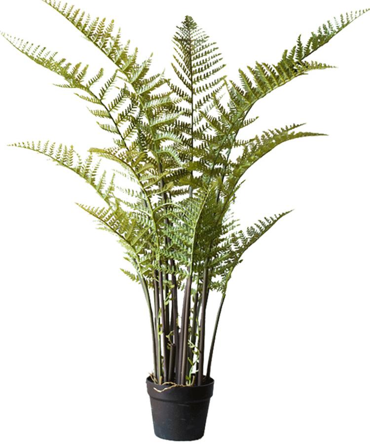 
                      
                        RusticReach Artificial Faux Cyathea Tree In Pot - lily & onyx
                      
                    