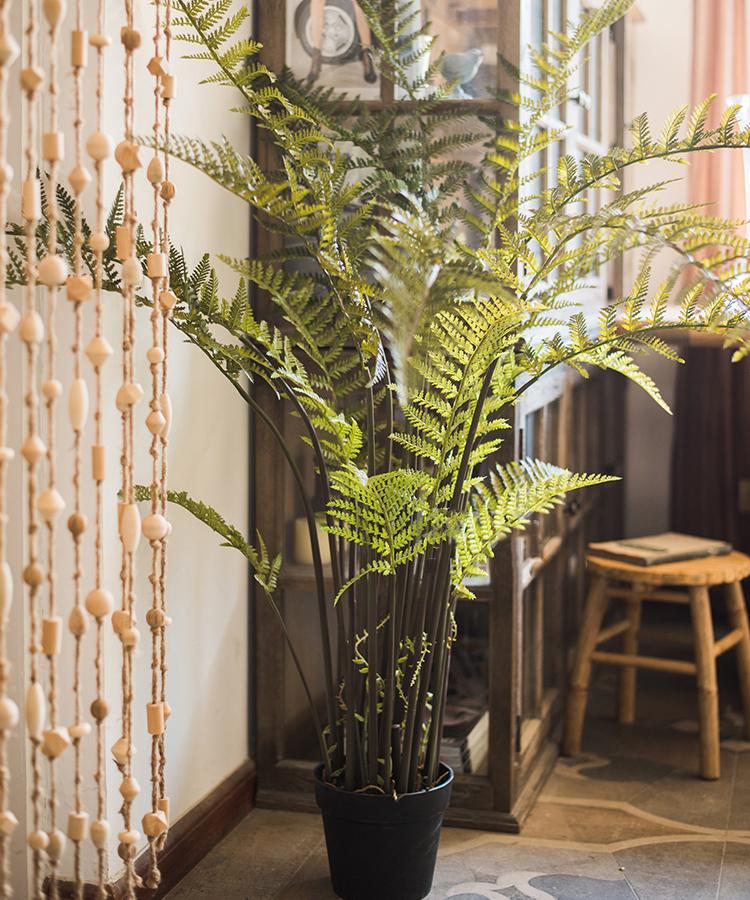 
                      
                        RusticReach Artificial Faux Cyathea Tree In Pot - lily & onyx
                      
                    