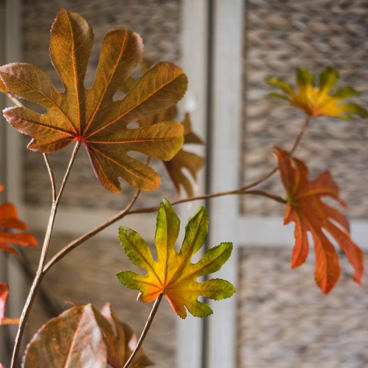 
                      
                        RusticReach Artificial Faux Fatsia Leaf in Autumn Red 32" Tall - lily & onyx
                      
                    