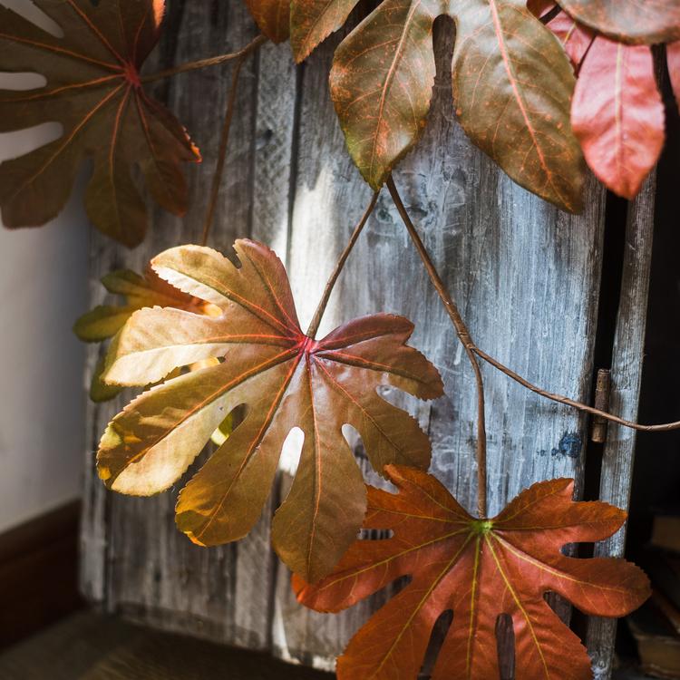 
                      
                        RusticReach Artificial Faux Fatsia Leaf in Autumn Red 32" Tall - lily & onyx
                      
                    