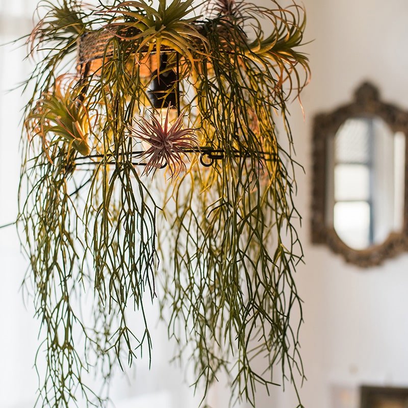 Rustic Reach Artificial Faux Usnea Vine Stem 22" Long