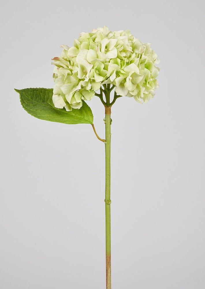 
                      
                        Afloral Artificial Flowers French Country Green Real Touch Hydrangea Stem, 18" - lily & onyx
                      
                    