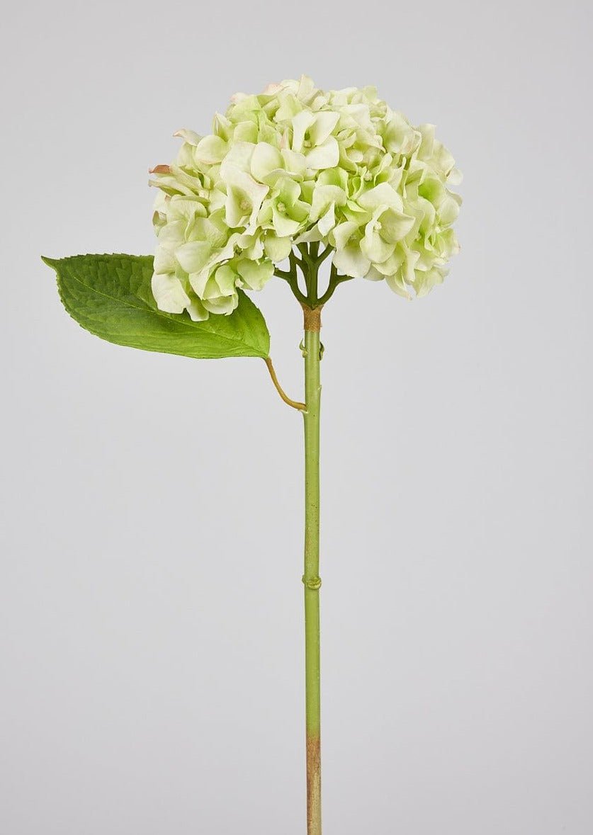 Afloral Artificial Flowers French Country Green Real Touch Hydrangea Stem, 18" - lily & onyx