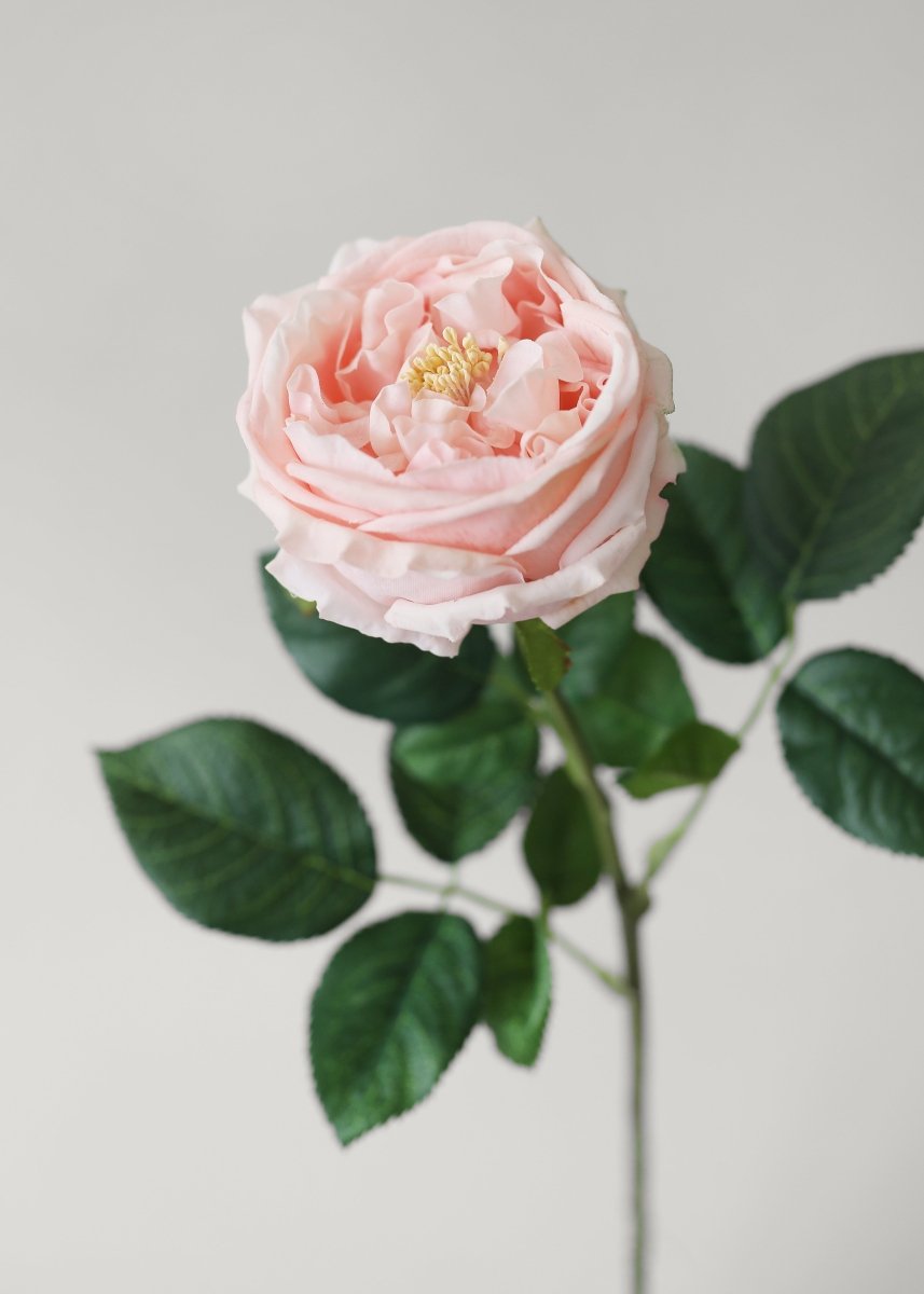 Afloral Artificial Flowers Real Touch Austin Rose in Pink - 24" - lily & onyx