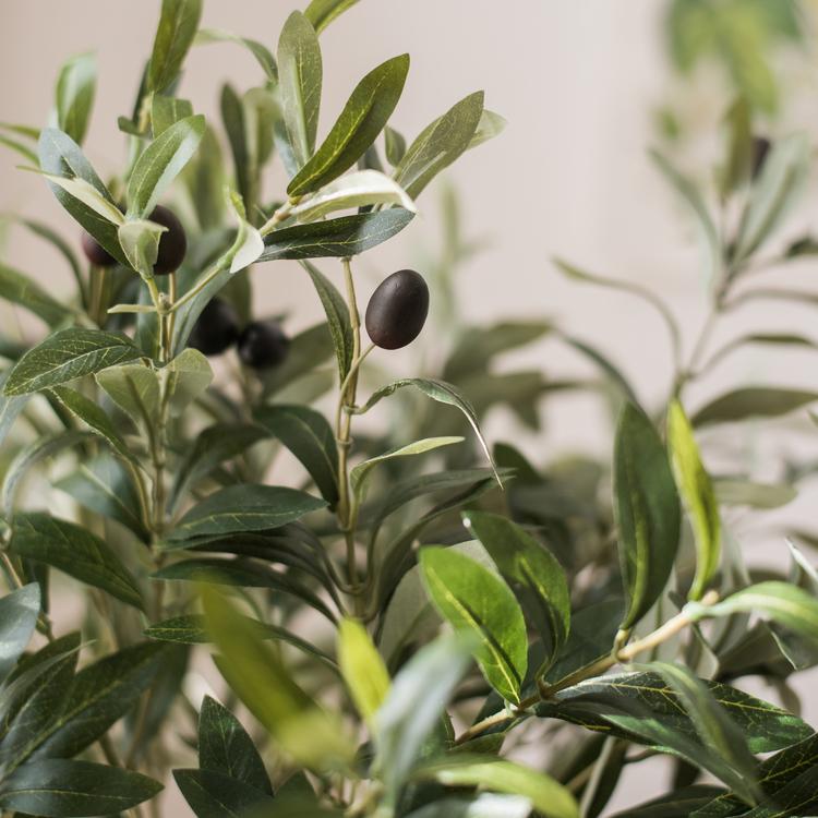 
                      
                        Artificial Fruit Faux Olive Stem 41" Tall
                      
                    