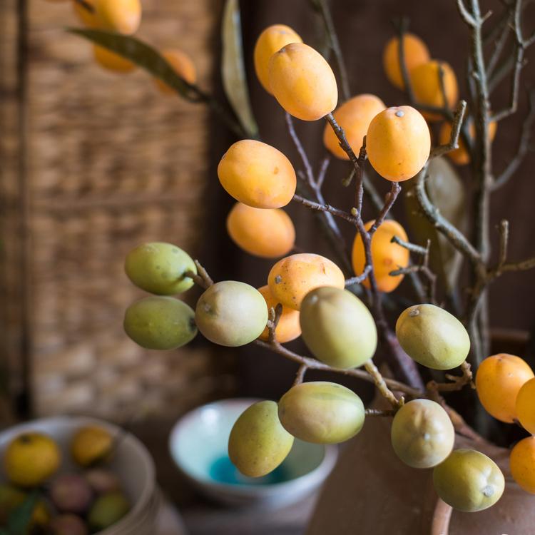 
                      
                        Artificial Silk Plant Pipa Fruit Stem 26" Tall
                      
                    