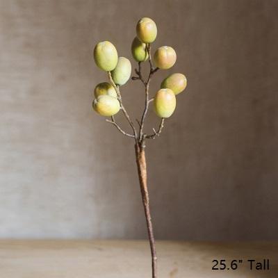 
                      
                        Artificial Silk Plant Pipa Fruit Stem 26" Tall
                      
                    