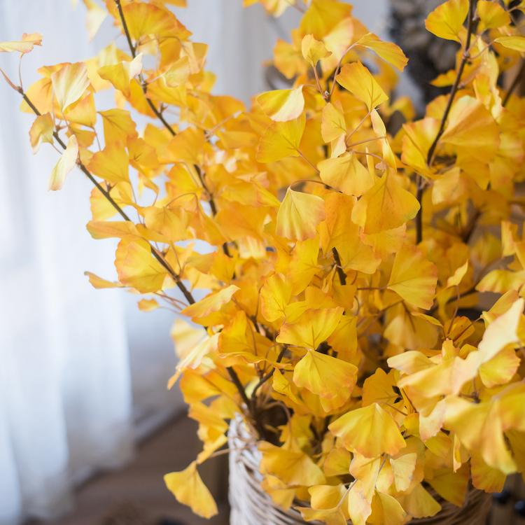 
                      
                        Artificial Faux Ginkgo Stem in Yellow 37" Tall
                      
                    