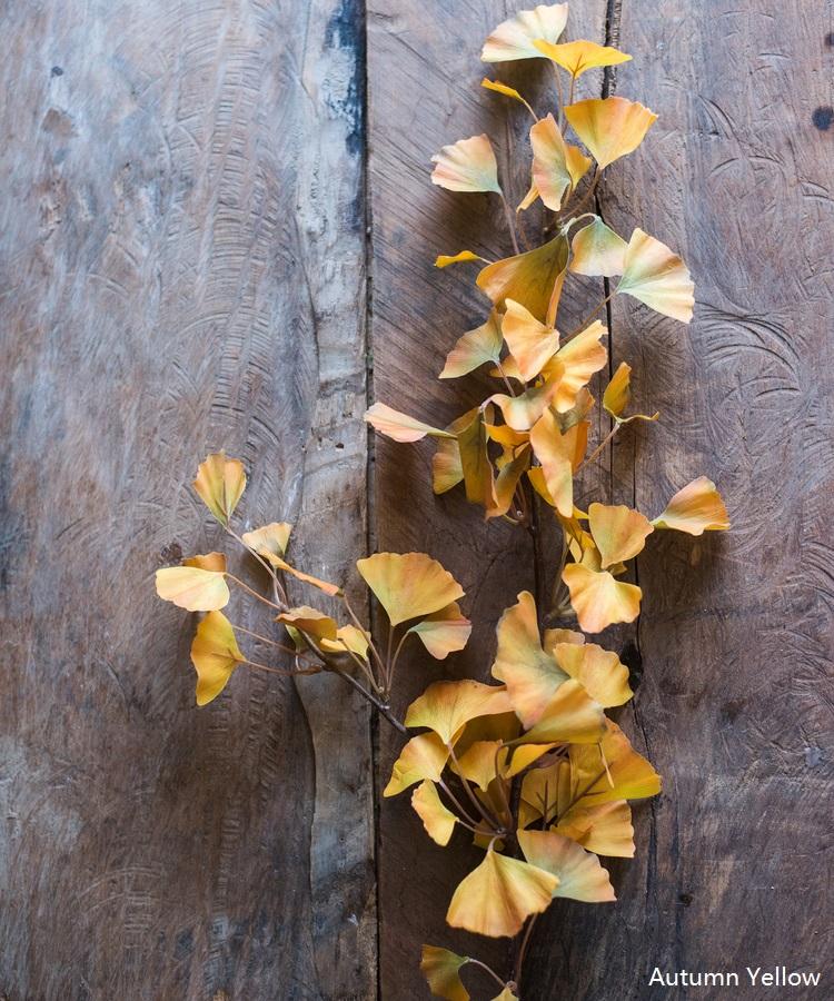 
                      
                        Artificial Faux Ginkgo Stem in Yellow 37" Tall
                      
                    