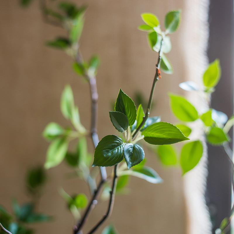 
                      
                        RusticReach Artificial Green Leaf Faux Tree In Pot - lily & onyx
                      
                    