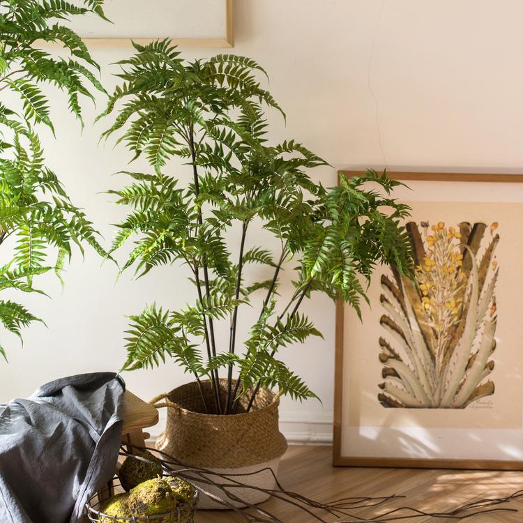 
                      
                        Artificial Green Leaf Fern Tree Faux
                      
                    