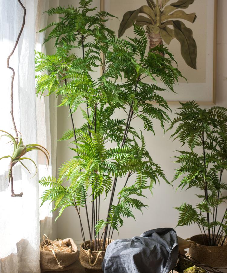 
                      
                        Artificial Green Leaf Fern Tree Faux
                      
                    