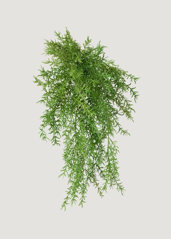 Afloral Artificial Hanging Asparagus Fern Plant - 22" - lily & onyx