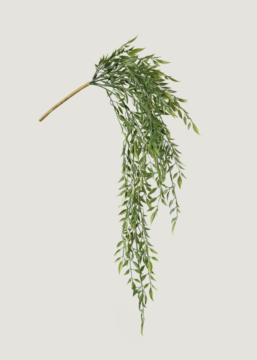Afloral Artificial Hanging Ruscus Branch - 24" - lily & onyx