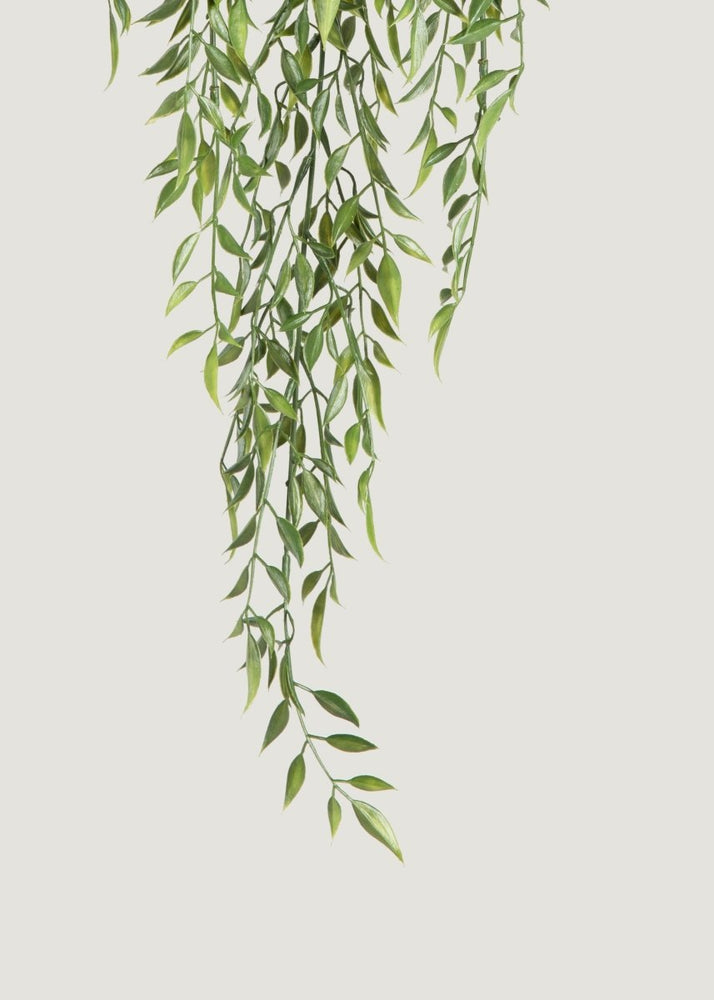 
                      
                        Afloral Artificial Hanging Ruscus Branch - 24" - lily & onyx
                      
                    
