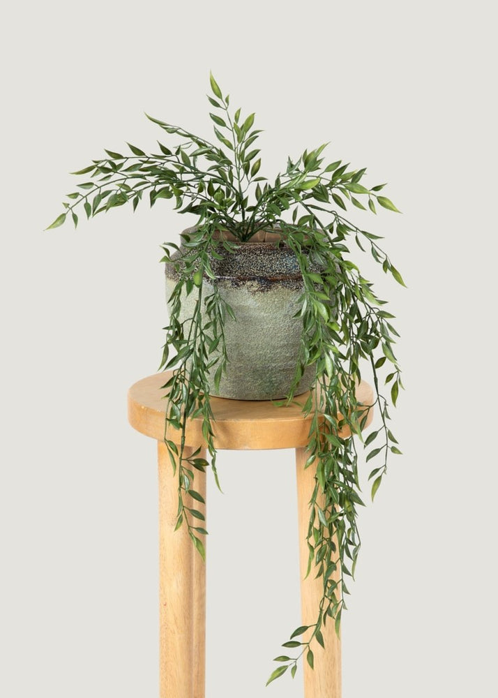 
                      
                        Afloral Artificial Hanging Ruscus Branch - 24" - lily & onyx
                      
                    