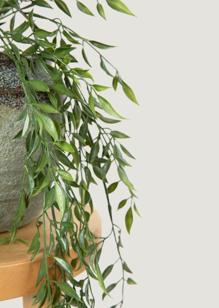 
                      
                        Afloral Artificial Hanging Ruscus Branch - 24" - lily & onyx
                      
                    
