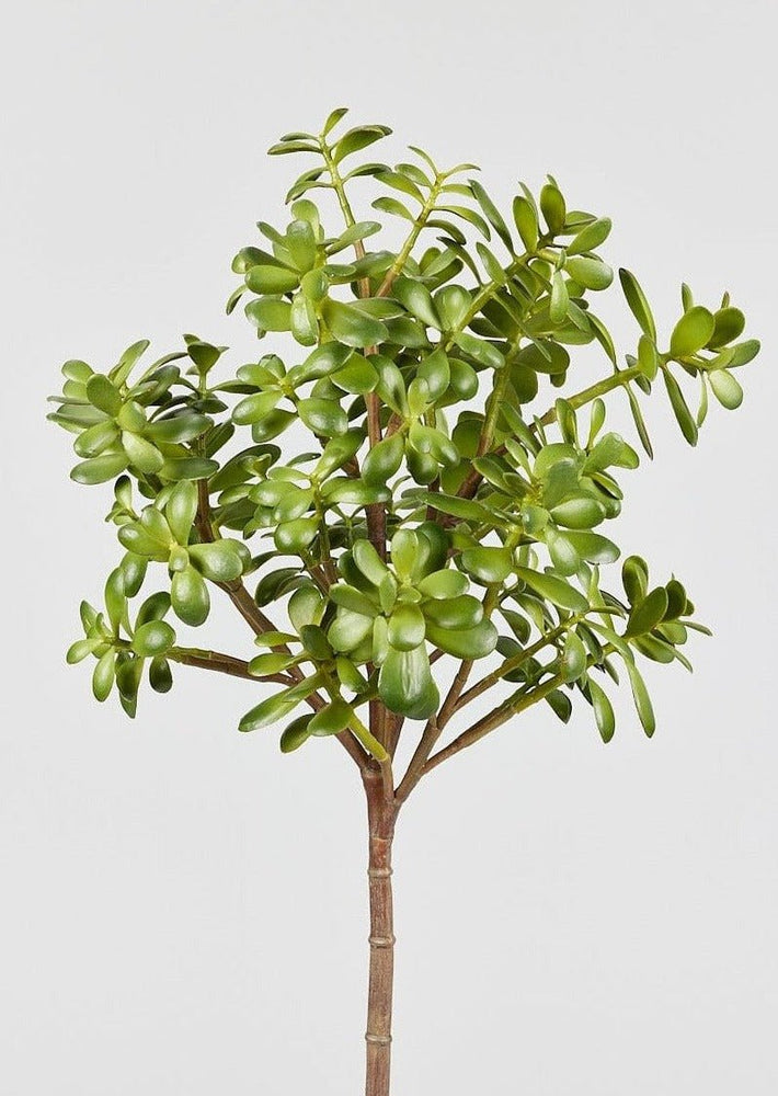 Afloral Artificial Jade Succulent Plant, 31" - lily & onyx