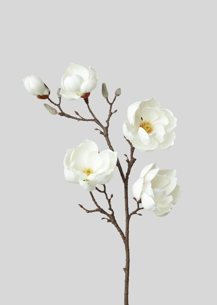 
                      
                        Afloral Artificial Magnolia Flower Branch in White - 39" - lily & onyx
                      
                    