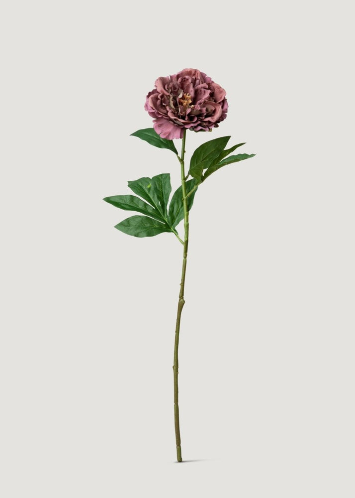 
                      
                        Afloral Artificial Mauve Brown Real Touch Peony Flower - 24.5" - lily & onyx
                      
                    