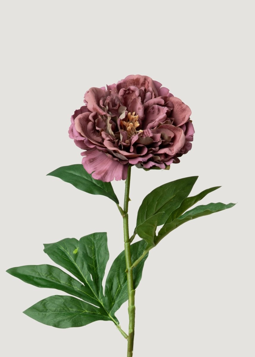 Afloral Artificial Mauve Brown Real Touch Peony Flower - 24.5" - lily & onyx