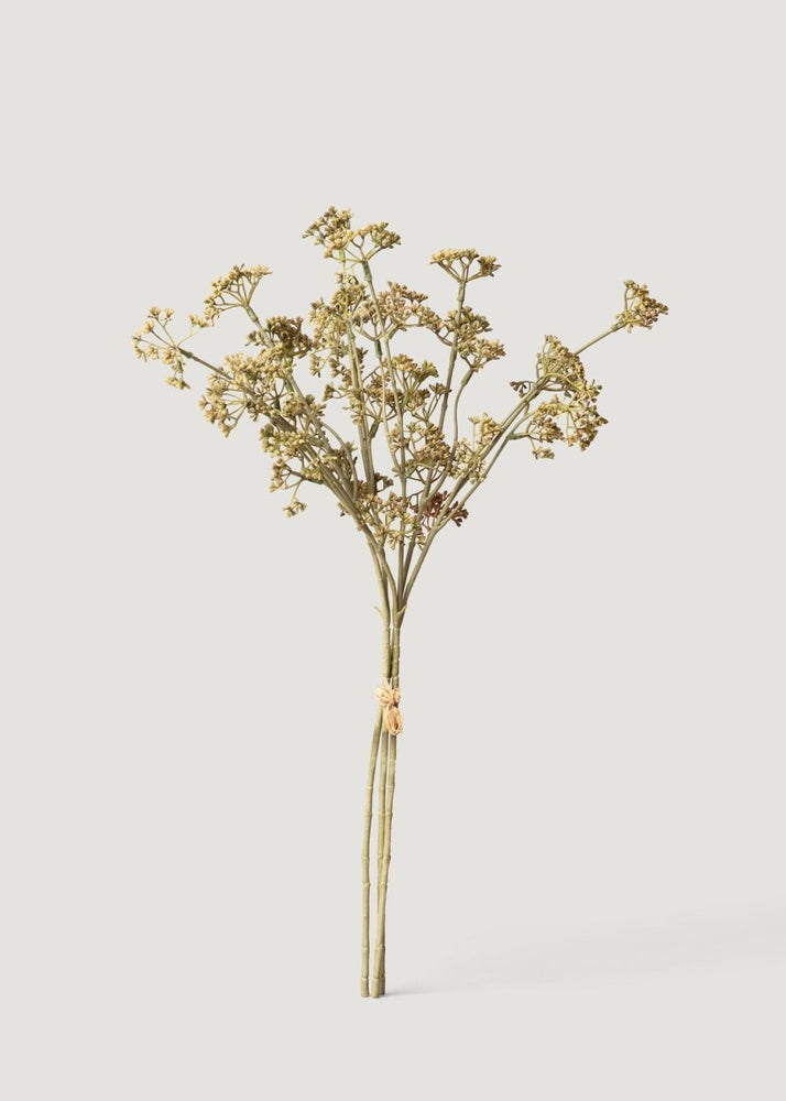 
                      
                        Afloral Artificial Meadow Sedge Wild Foliage Bundle - 21.5" - lily & onyx
                      
                    