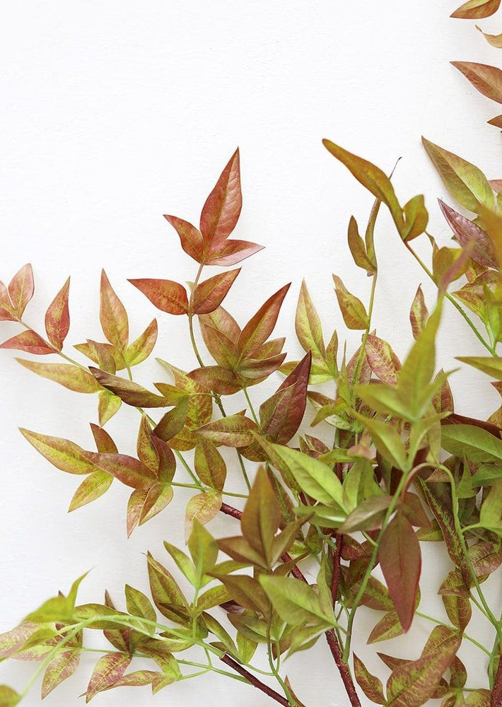 
                      
                        Afloral Artificial Nandina Leaf Branch - 39" - lily & onyx
                      
                    