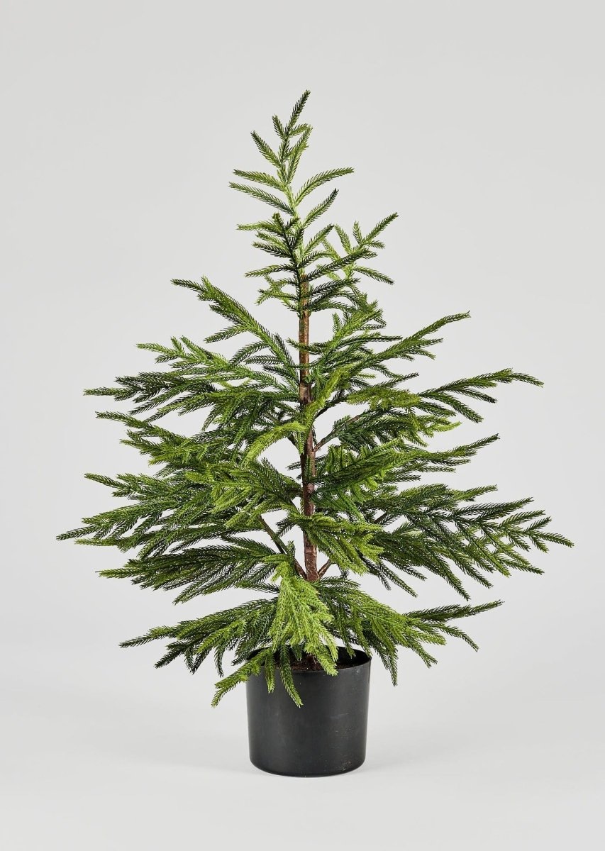 Afloral Artificial Norfolk Pine Tree - 36" - lily & onyx