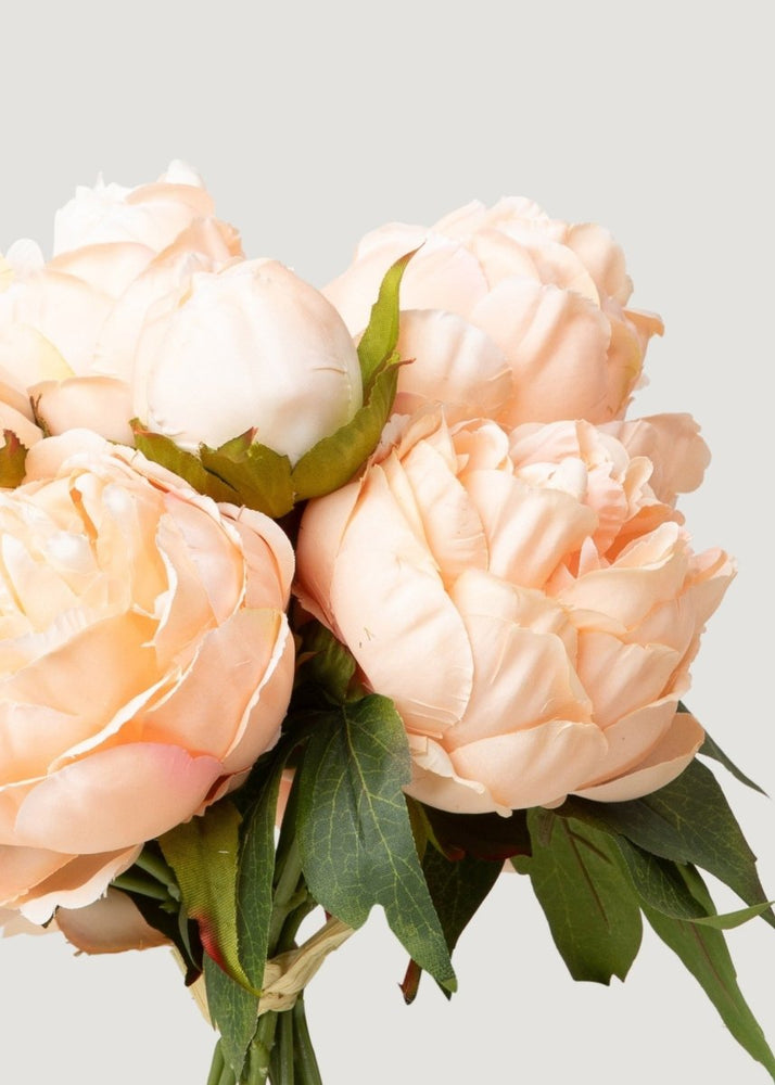 
                      
                        Afloral Artificial Peony Flower Bundle in Blush Peach - 13" - lily & onyx
                      
                    
