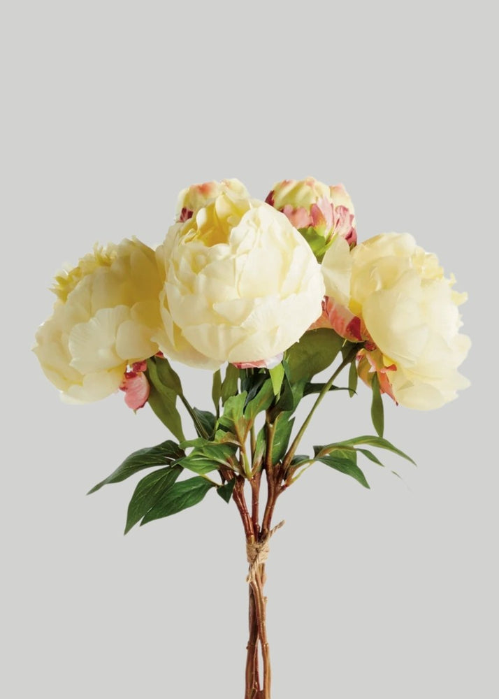 
                      
                        Afloral Artificial Peony Flower Bundle in Yellow - 21" - lily & onyx
                      
                    
