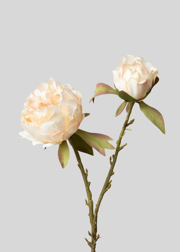 
                      
                        Afloral Artificial Peony Flower in Blush - 21.5" - lily & onyx
                      
                    