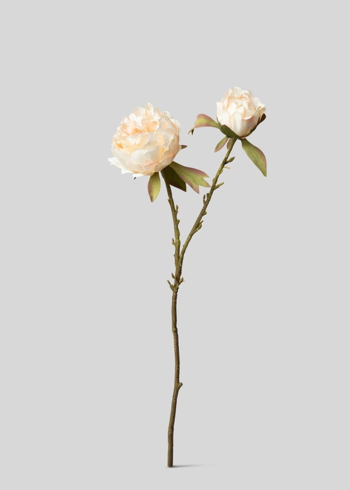 Afloral Artificial Peony Flower in Blush - 21.5" - lily & onyx