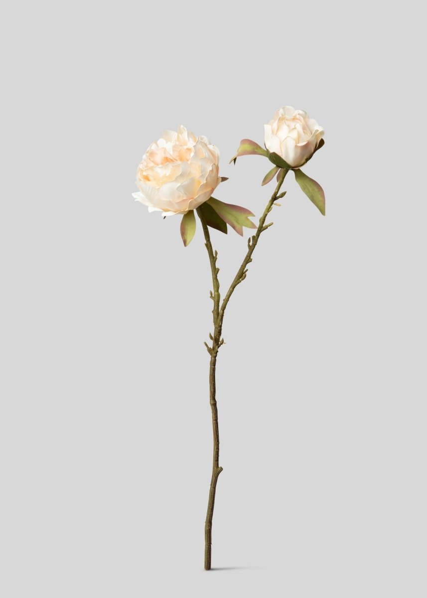 Afloral Artificial Peony Flower in Blush - 21.5" - lily & onyx