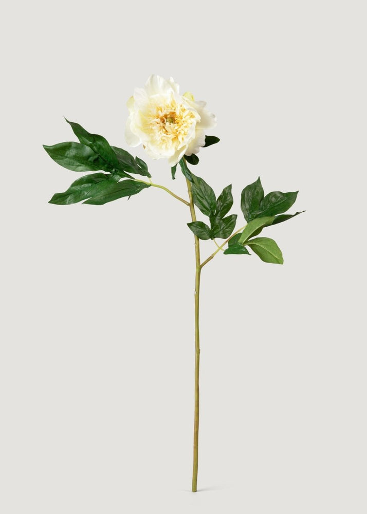 Afloral Artificial Peony Flower in Cream - 28.5" - lily & onyx
