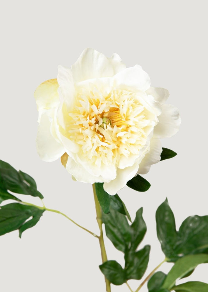 Afloral Artificial Peony Flower in Cream - 28.5" - lily & onyx