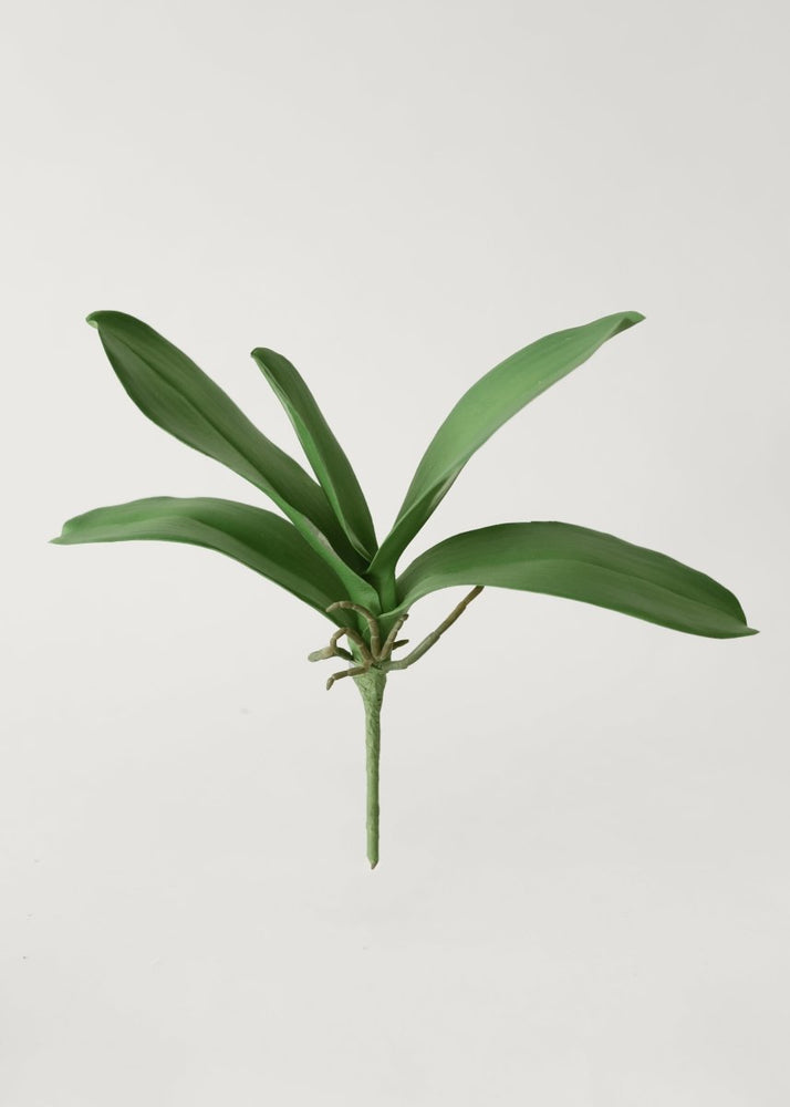 Afloral Artificial Phalaenopsis Orchid Leaf Plant - 15" - lily & onyx