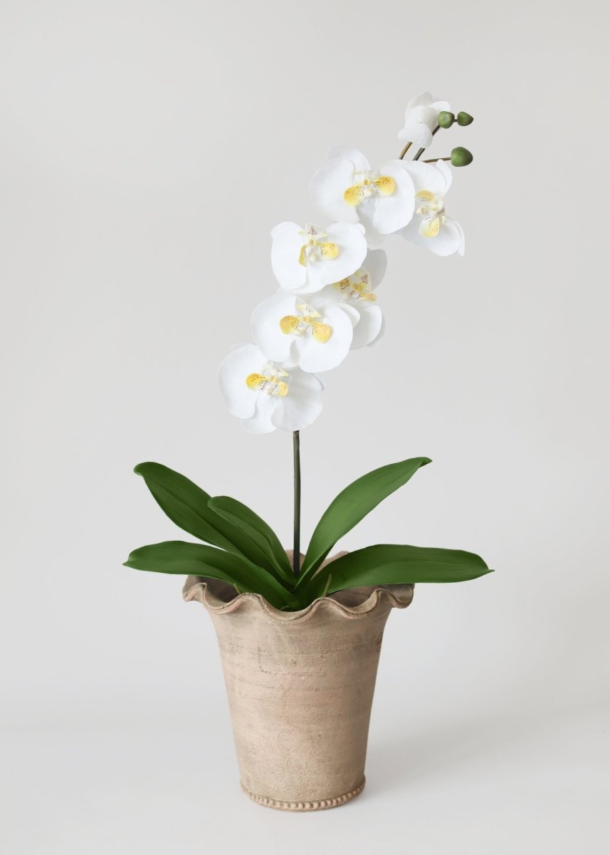 Afloral Artificial Phalaenopsis Orchid Leaf Plant - 15" - lily & onyx