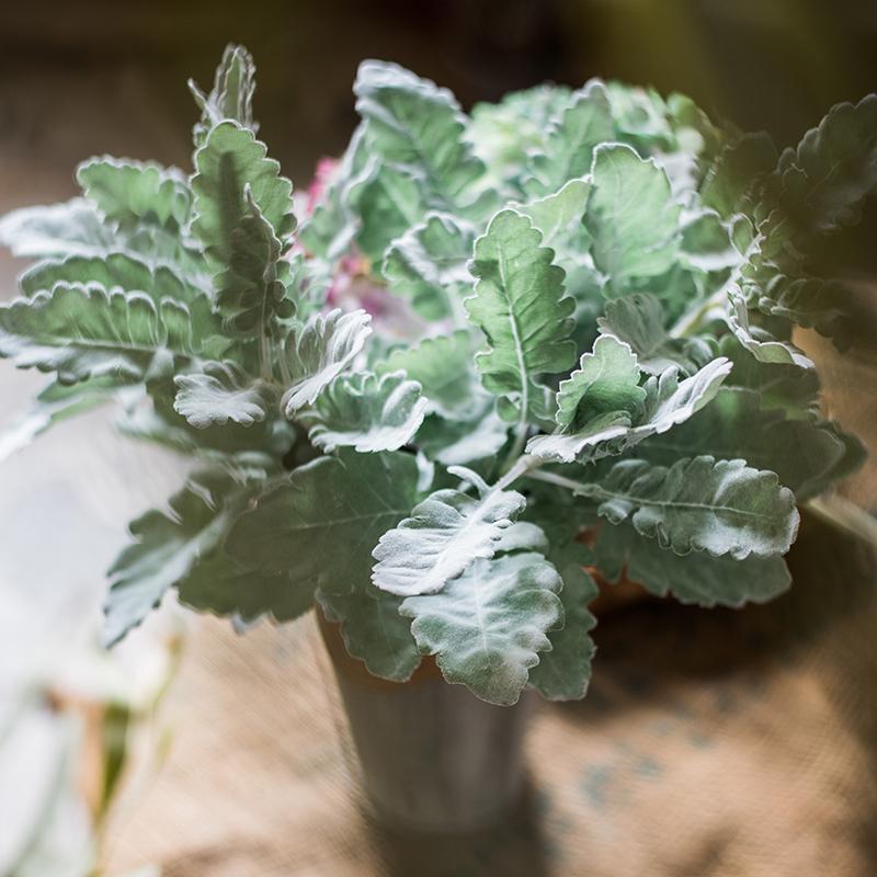 
                      
                        Artificial Faux Plant Wild Leaf Stem
                      
                    