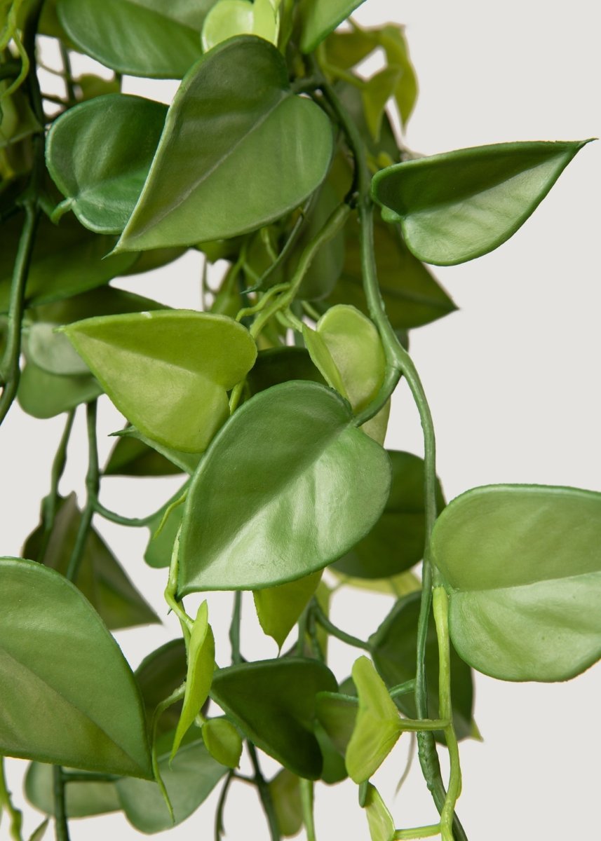 Afloral Artificial Plants Hanging Philodendron Bush - 32" - lily & onyx