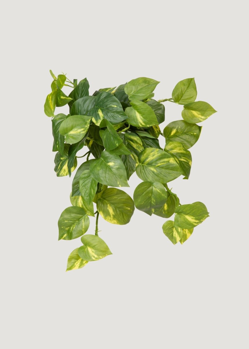 Afloral Artificial Pothos UV Treated Indoor/Outdoor Hanging Plant - 19" - lily & onyx