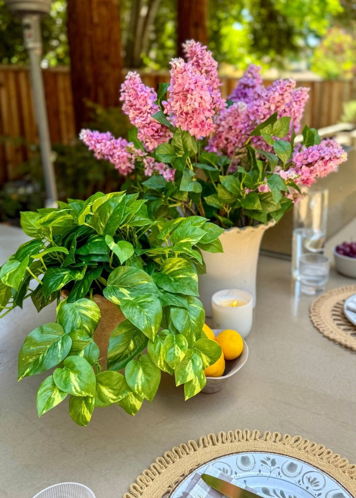 
                      
                        Afloral Artificial Pothos UV Treated Indoor/Outdoor Hanging Plant - 19" - lily & onyx
                      
                    