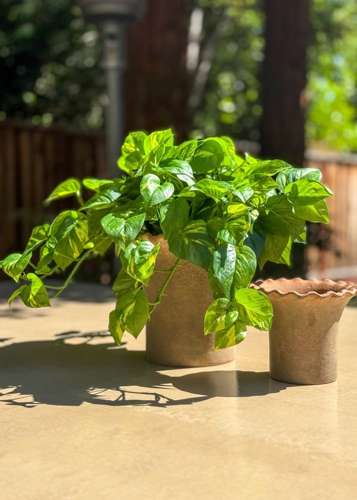 
                      
                        Afloral Artificial Pothos UV Treated Indoor/Outdoor Hanging Plant - 19" - lily & onyx
                      
                    