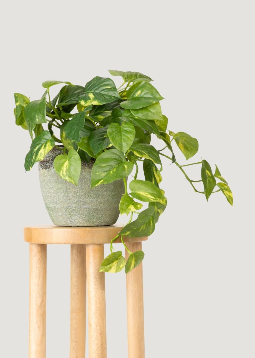 Afloral Artificial Pothos UV Treated Indoor/Outdoor Hanging Plant - 19" - lily & onyx