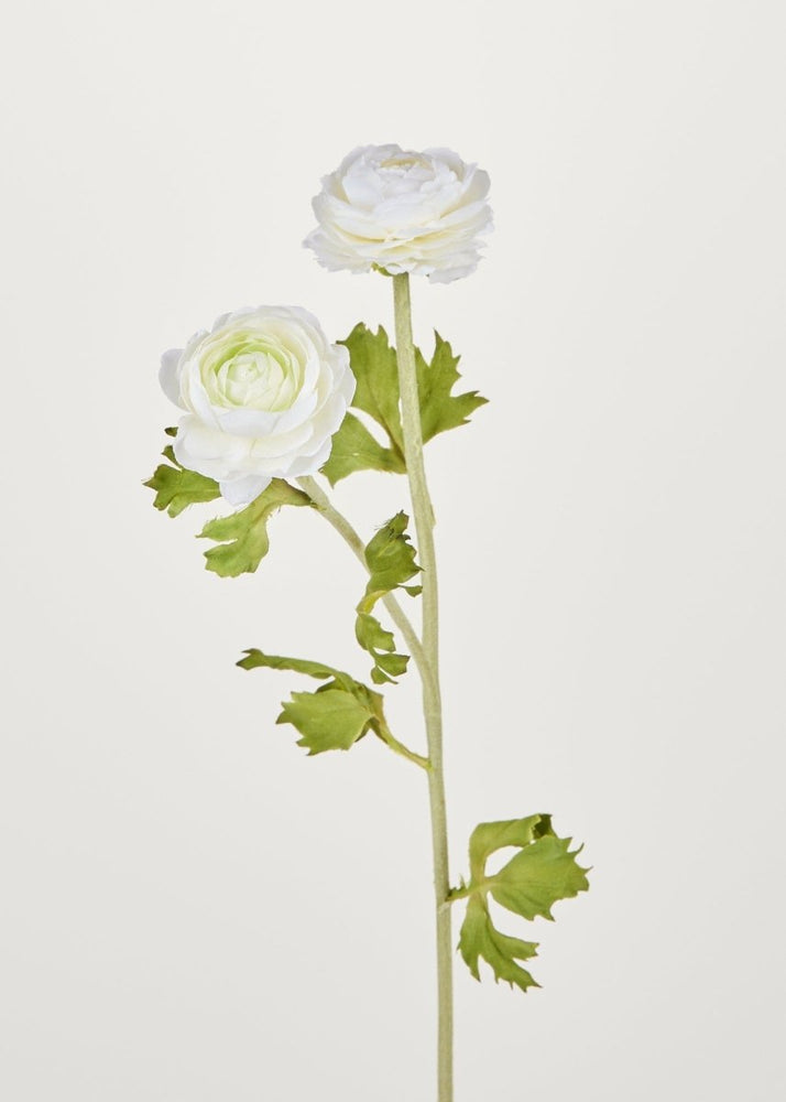 Afloral Artificial Ranunculus Flowers in White, 30" - lily & onyx