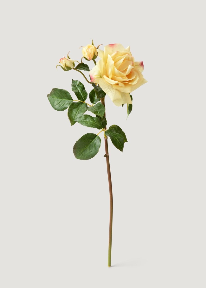 Afloral Artificial Real Touch Juliet English Rose in Yellow - 22" - lily & onyx
