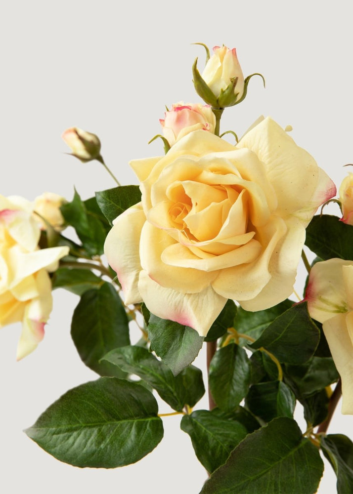 Afloral Artificial Real Touch Juliet English Rose in Yellow - 22" - lily & onyx