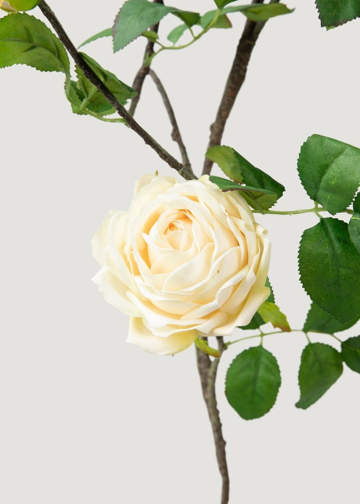 
                      
                        Afloral Artificial Rose Flower Vine Garland in Soft Yellow - 48" - lily & onyx
                      
                    