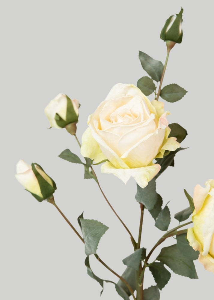 
                      
                        Afloral Artificial Roses in Cream - 27.5" - lily & onyx
                      
                    